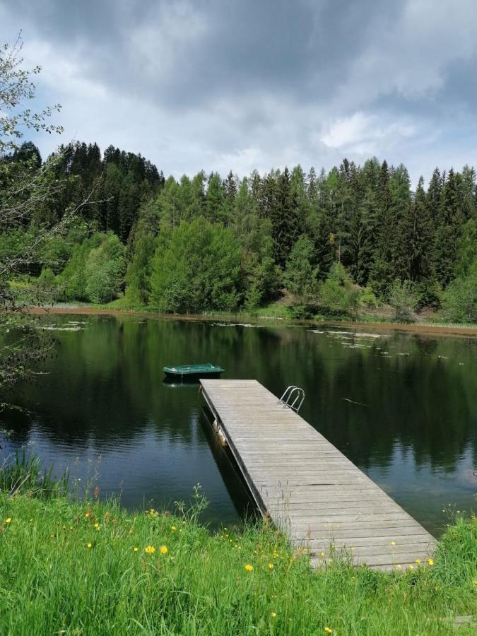 Ferienwohnung Familie Pichler Neumarkt in Steiermark Exterior foto